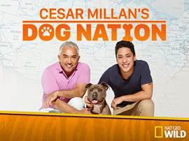 Cesar Millan's Dog Nation