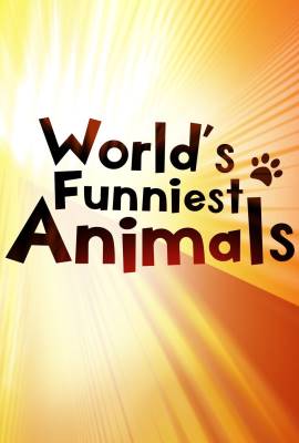 World's Funniest Animals